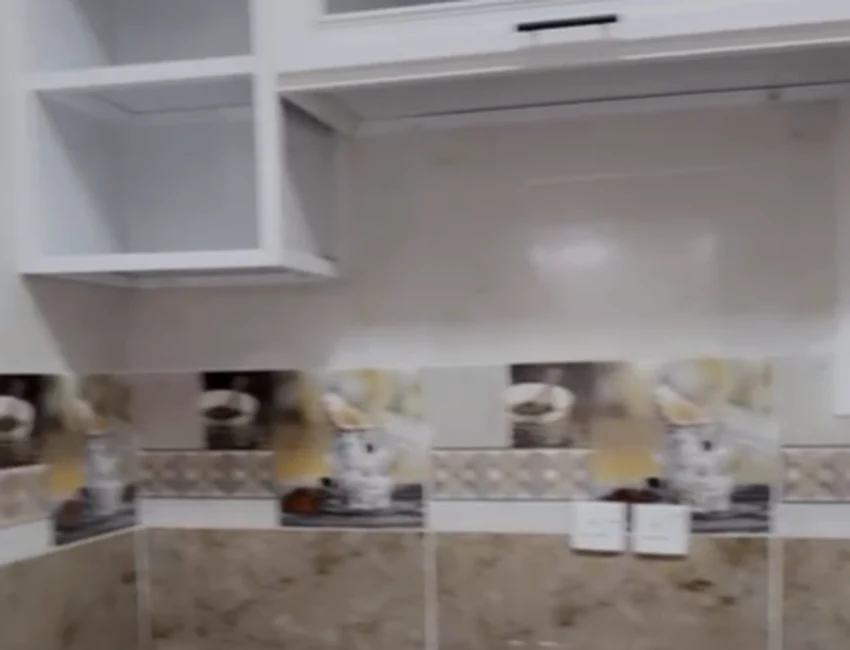 Recent kitchen project
